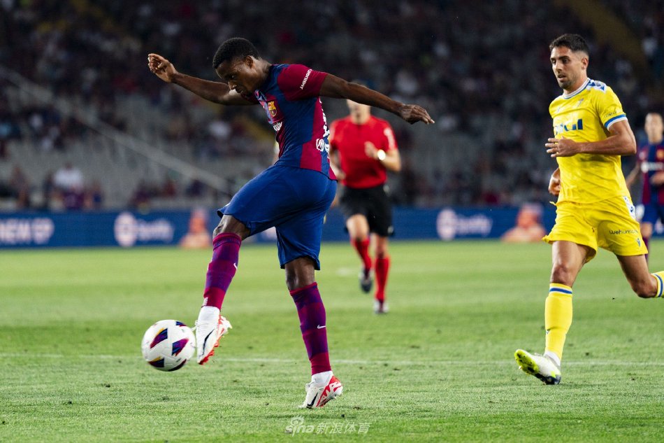 入将为他们 入将为他们